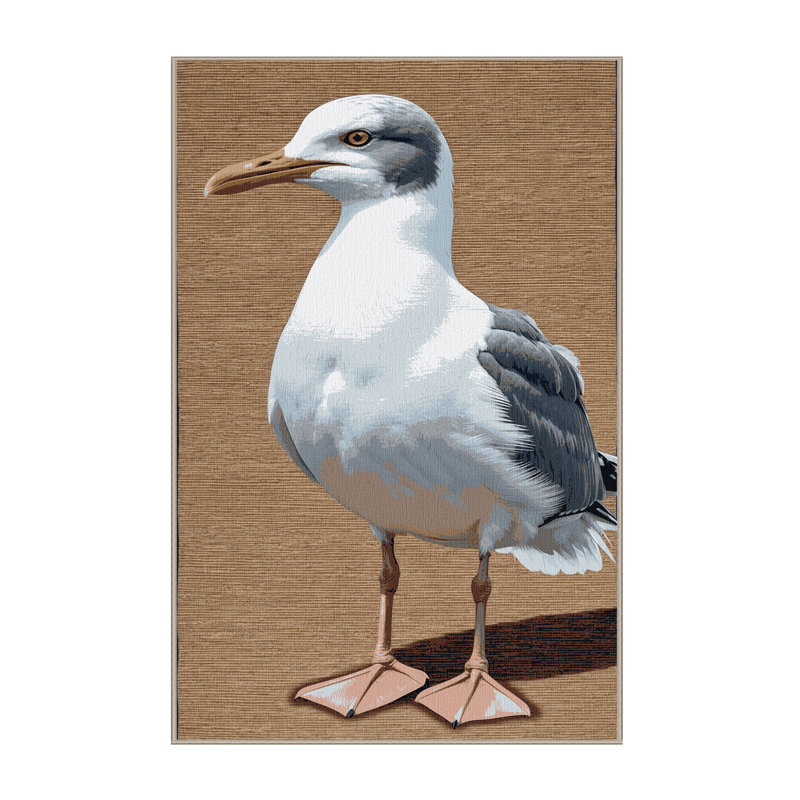 Washable Ring billed Gull Birds Area Rug, Runner 2' x 4'