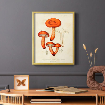 Champignon Variétés IV, reproduction encadrée - bois massif