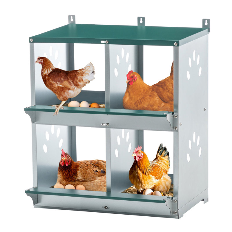 Boîtes de nidification de poulet à 4 compartiments, boîtes de nidification murales en métal pour différentes races