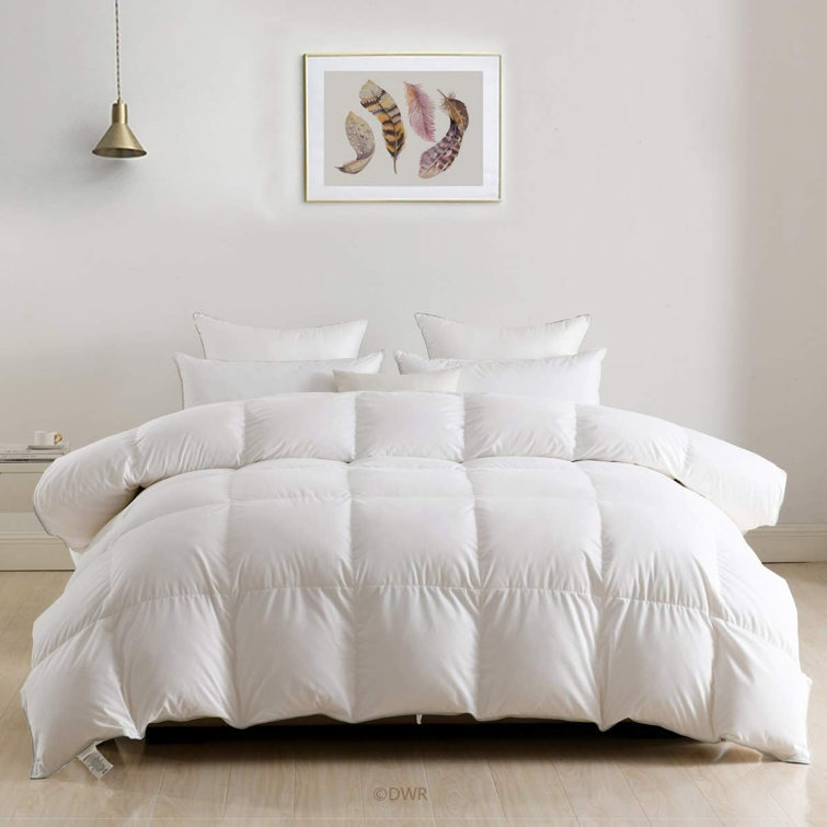 Babb 750 FP All Seasons Feathers Down Comforter, Ultra-Soft Egyptian-Quality Cotton Fabric, White, King
