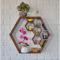 SPRING PARK Floating Shelves Wall Mounted Metal Wire Art Hexagon Shelves  with Solid Wood Board for Plant Display, Storage Rack & Organiser, Home  Decoration Wall Shelf - Walmart.com