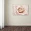 « pêche rose rose », reproduction de photo sur toile tendue-32708098