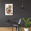 «Lhasa Apso» par Barbara Keith, impression sans cadre-323085539