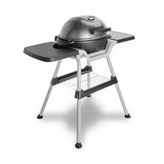 2000W Electric Barbecue with Standing Feet - China Electric BBQ Grill and BBQ  Grill price