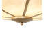 8 - Light Semi Flush Mount