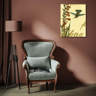 Colibri paisible II
