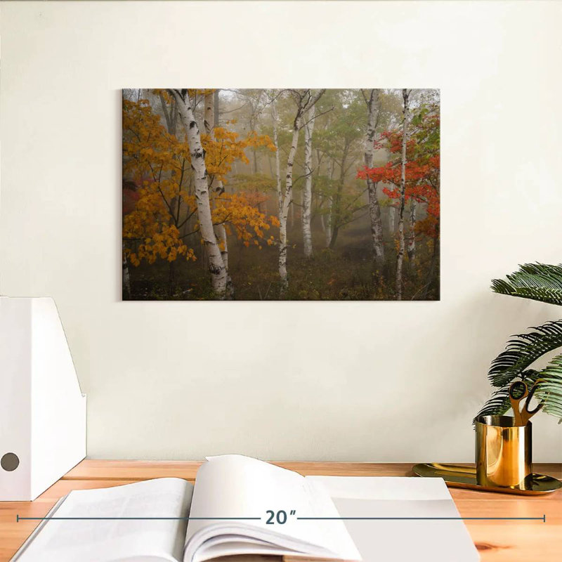 Alvord Autumn Birch Forest, H 8 po x l 12 po