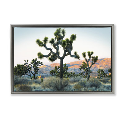 "Joshua Trees in Vast Desert", art mural sur toile flottante, design par Danita Delimont
