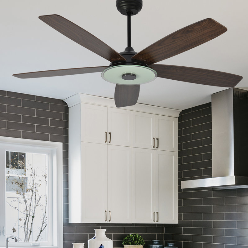 Amonie 56'' Ceiling Fan with LED Lights, Dark Brown, Black