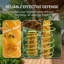 2‑Pack Hanging Outdoor Insect Catchers, Wasp & Fly Sticky Traps, Rainproof, Non‑Toxic, with Protective Coil Guard, Yellow