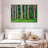 Eucalyptus Rainbow Trees-1609620557-1609620597