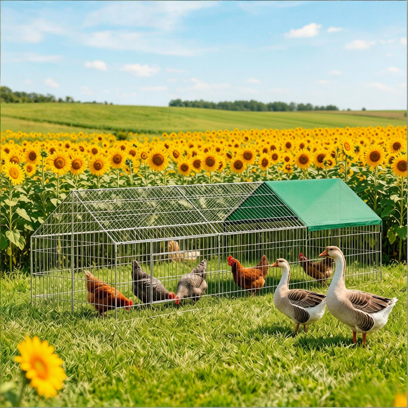 Poulailler d'extérieur, poulailler, cage à lapin, poulailler pour petits animaux