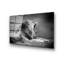 Boze Wall Decor