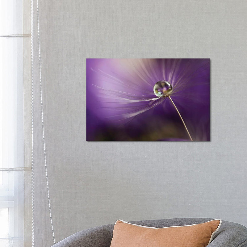 In Shades Of Purple by Heidi Westum - Wrapped Canvas Print, 45.72cm H x 66.04cm W x 1.91cm D
