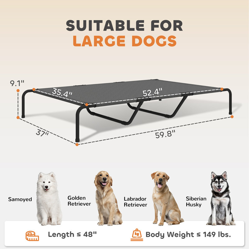 Lit pour animal de compagnie, lit surélevé pour chien