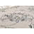 Swansville Oriental Indoor Rug