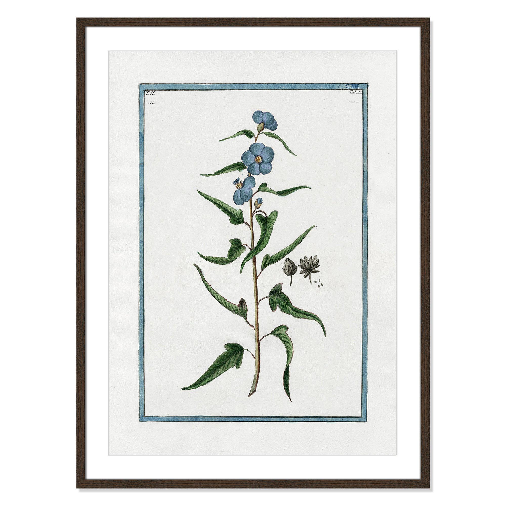 Shabby Elegance Botanical I - Framed Art Full Bleed, 25.5" W x 35.5" H, Walnut Framed
