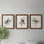 «Spring Song Blue Bird», ensemble de 3 impressions sur toile encadrées-777363411-777363414