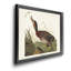 Bemaculé canard - reproduction de photo sur toile-507593559-507593558