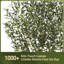 180cm Plant-487328006