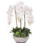 Orchid Faux Floral Arrangement in Vase