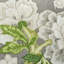 Schumacher x Mary McDonald Bermuda Blossoms Pillow
