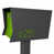 Lime Green is out of stock selected