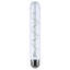 Reminiscent 6 Watt Clear LED Bulb