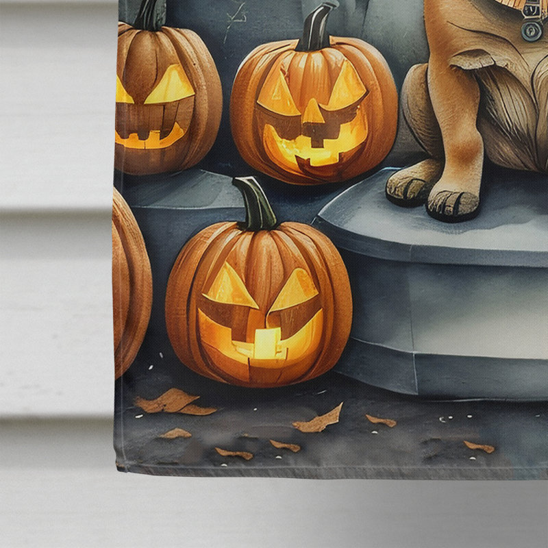 Double Sided 40'' H x 28'' W Polyester Halloween House Flag
