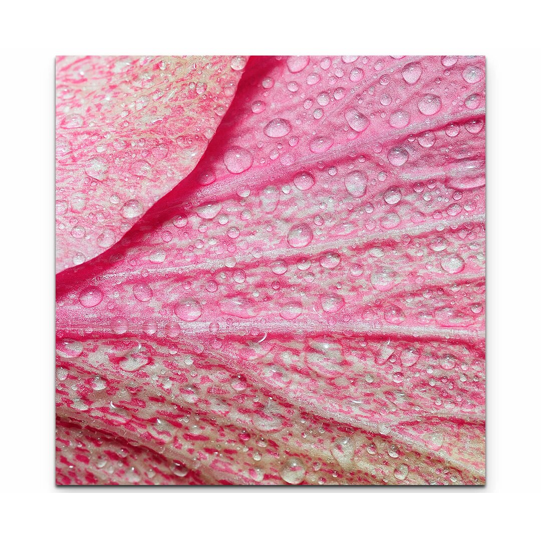 Leinwandbild Pinke Blume – Nahaufnahme