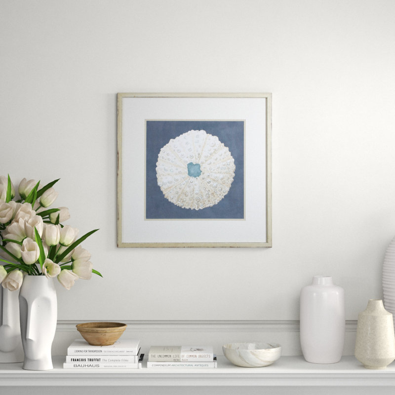 Shell On Slate VII Print by Meagher