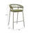 Daejon Skye Barstool (Set Of 2) Green