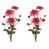 Rose, vert