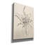  «Sketches Of Spring 2 Beige» par Danhui Nai, art mural sur toile