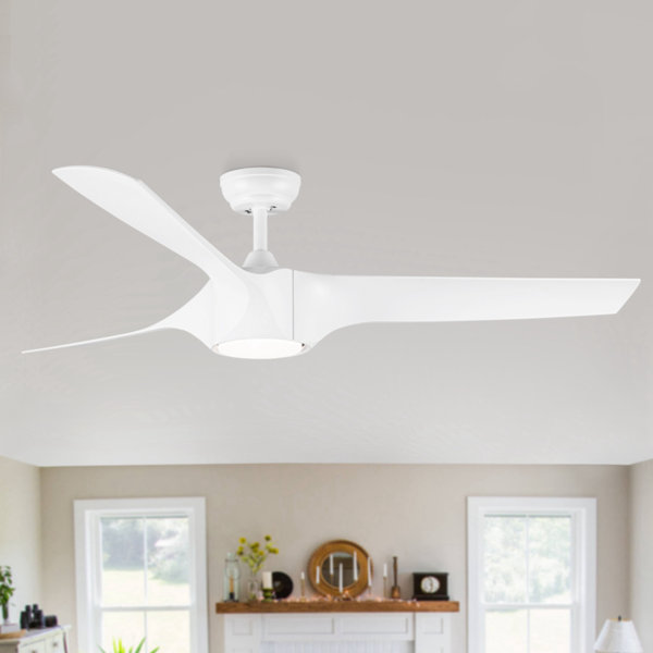 Wenty 56'' Ceiling Fan with LED Lights | Wayfair