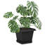 Planter-1849224910-1849224911-1849224924