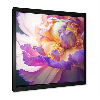 Pivoine rose et blanche au printemps II - reproduction sur toile