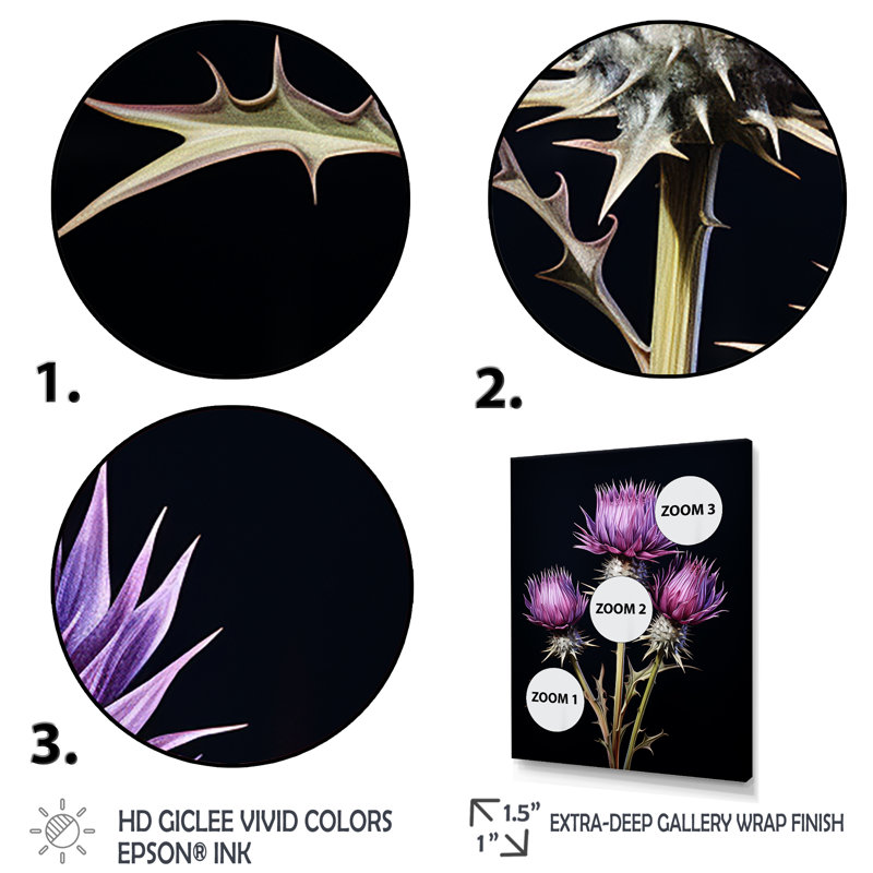 Black Thistle Flowers I - Thistle Wall Art, Black Floater Framed, 20" H x 12" W x 1" D