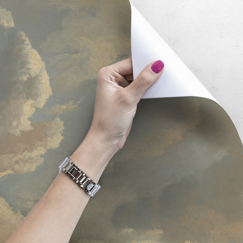 Aelynn Matte Mural, 360 x 250cm