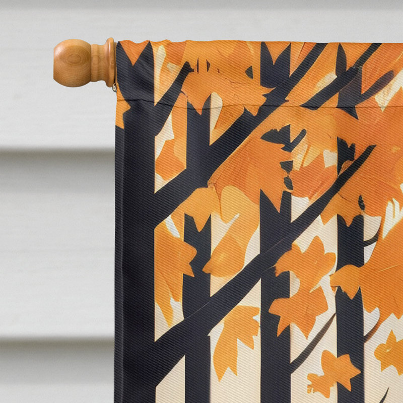 Drapeau de maison en polyester à double face H 40 po x l 28 po