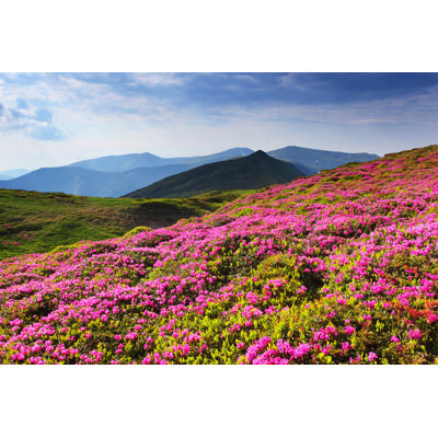 Flowers - Wrapped Canvas Print