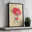 Spicy Poppies By Carol Rowan Canvas Art Print-810027675-810027674