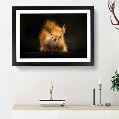 Red Squirrel - Framed Print