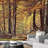 Autumn Yellow Tree Leaf Forest-88769927