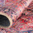 Oppie Oriental Indoor Rug-1152077987
