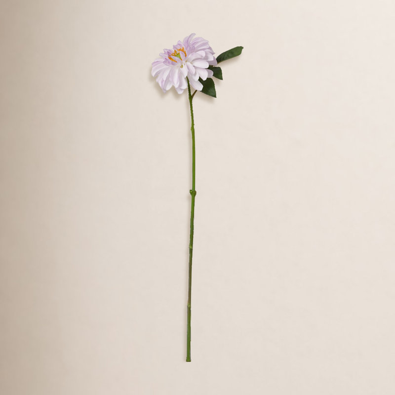 Ensemble de dahlia 17 po, Mauve