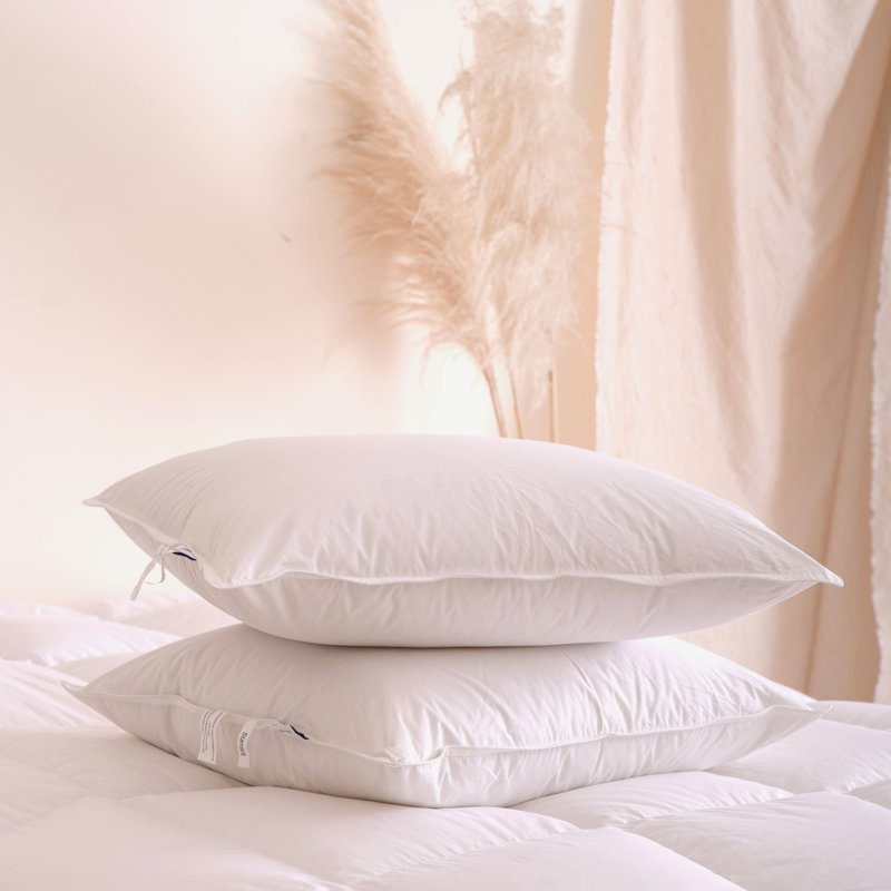 Highland Feather 600 Loft White Goose Down Pillow 289 TC Cotton Casing, Standard