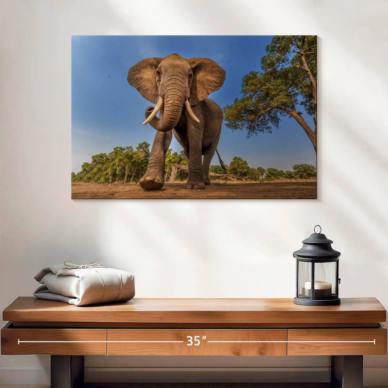 Brampt Playful African Elephant, 16" H x 24" W