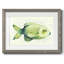 Poisson d'eau douce moucheté II-562123176-562123178