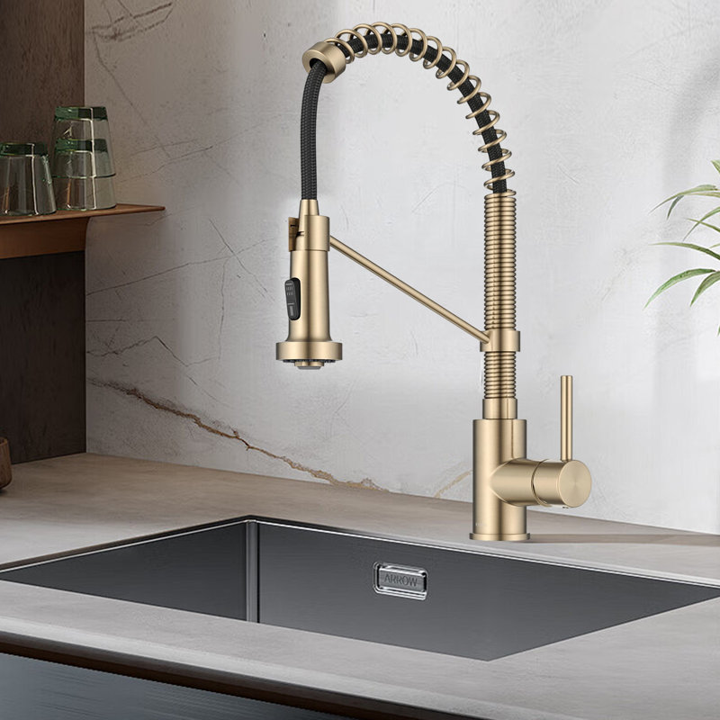 Single Handle Kitchen Faucet 2-Function Sprayer Pull Down Kitchen Faucet, Antique Champagne Bronze